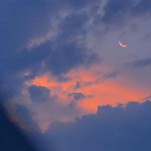 女教师办公室色情毛片
